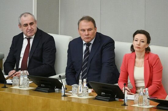 Russia Mishustin Government Report