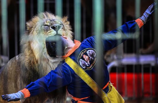 Russia Circus
