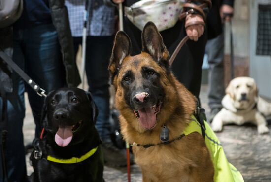 Russia Guide Dogs Training