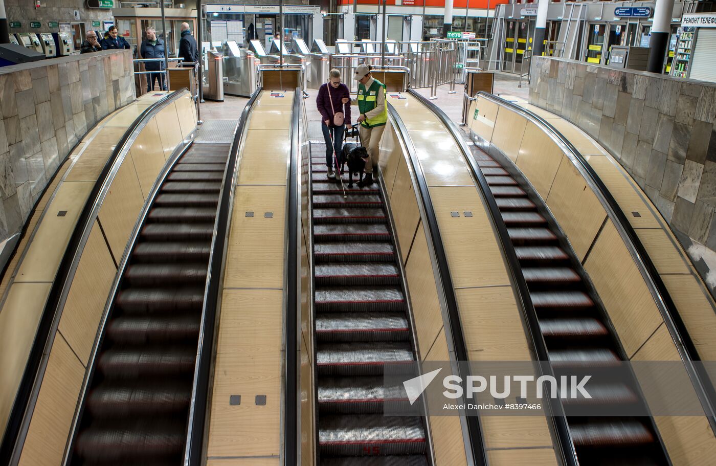 Russia Guide Dogs Training