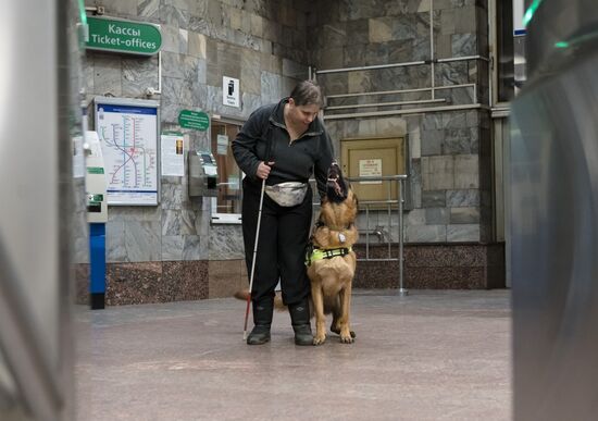 Russia Guide Dogs Training