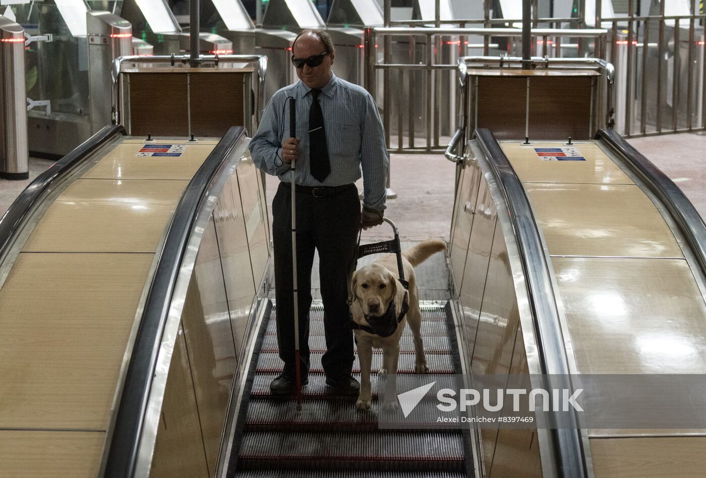 Russia Guide Dogs Training