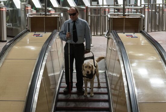 Russia Guide Dogs Training