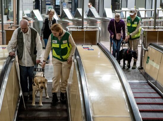 Russia Guide Dogs Training