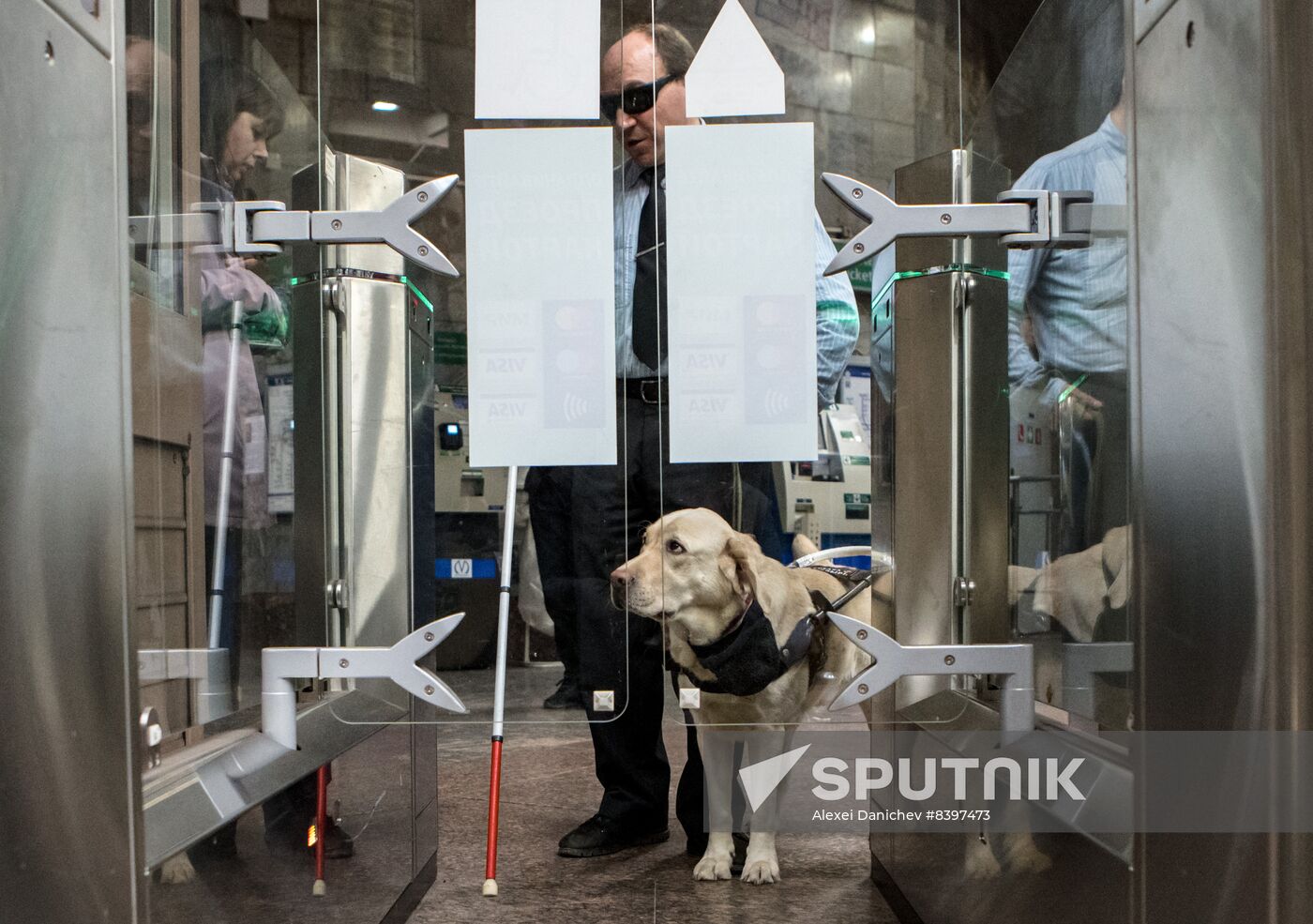 Russia Guide Dogs Training