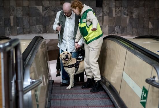 Russia Guide Dogs Training