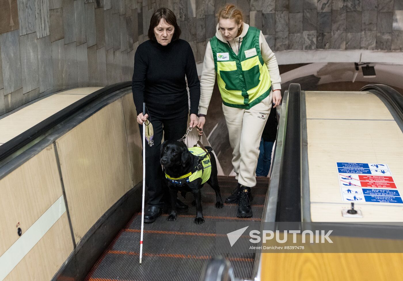 Russia Guide Dogs Training