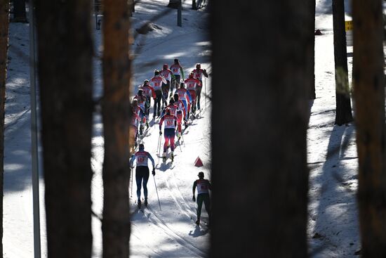 Russia Cross-Country Skiing Championship Women