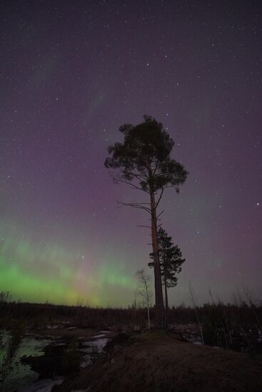 Russia Environment Aurora Borealis