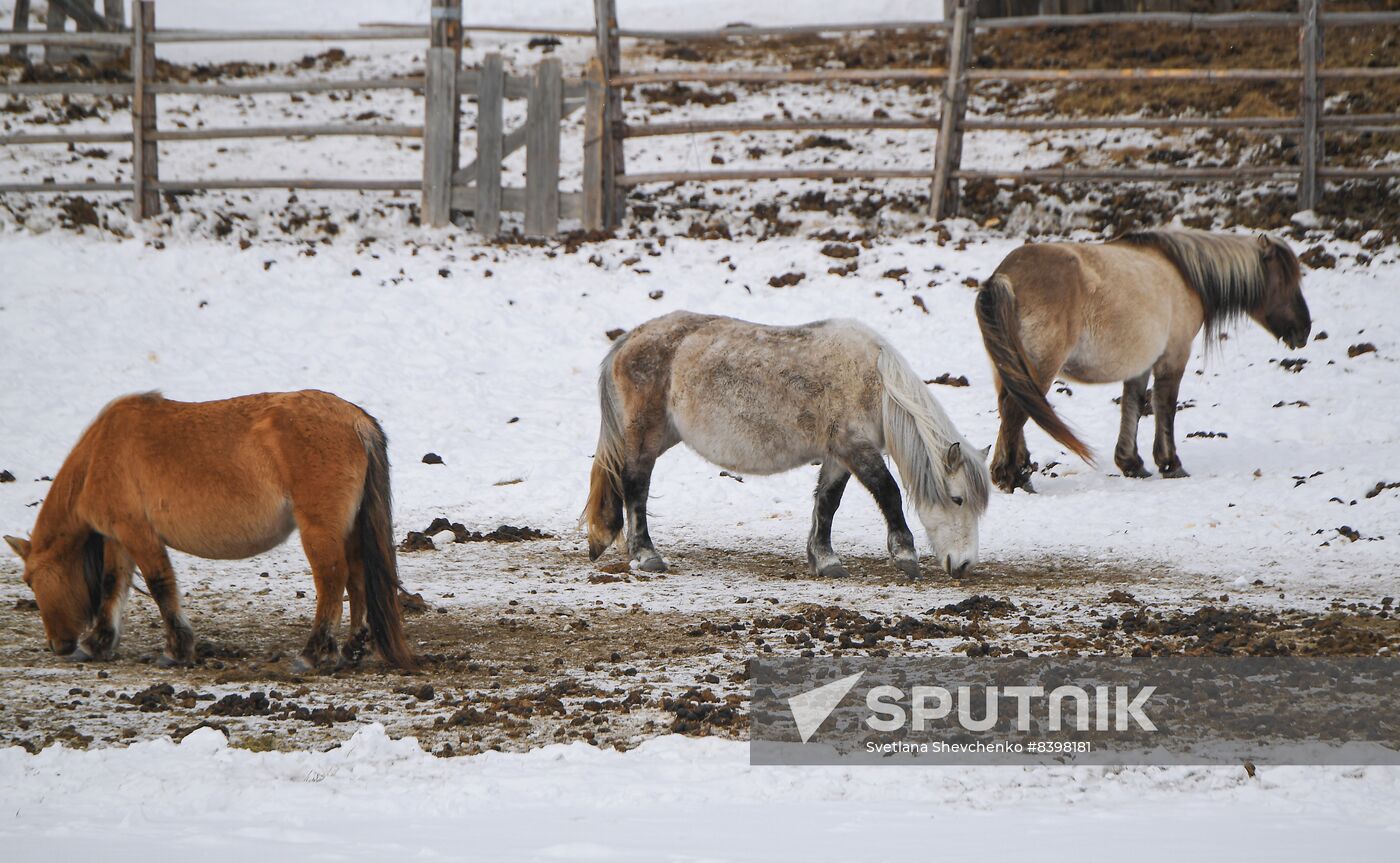 Russia Tourism