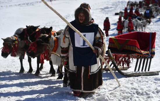 Russia Reindeer Herders' Day