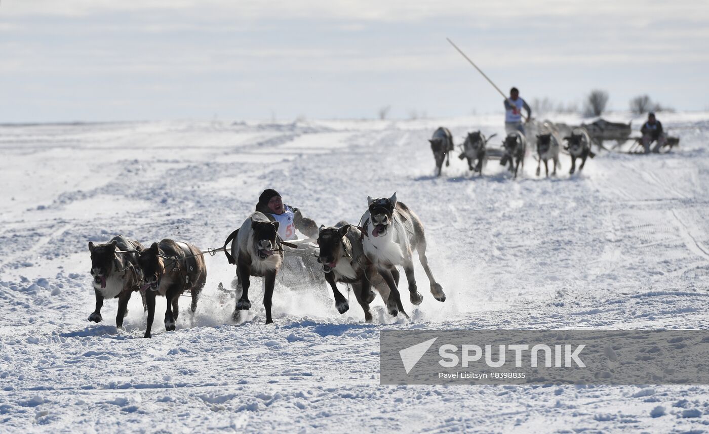 Russia Reindeer Herders' Day