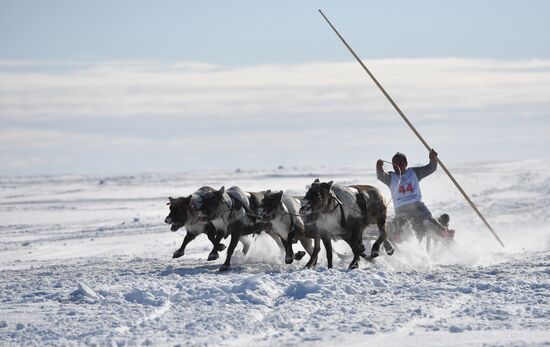 Russia Reindeer Herders' Day