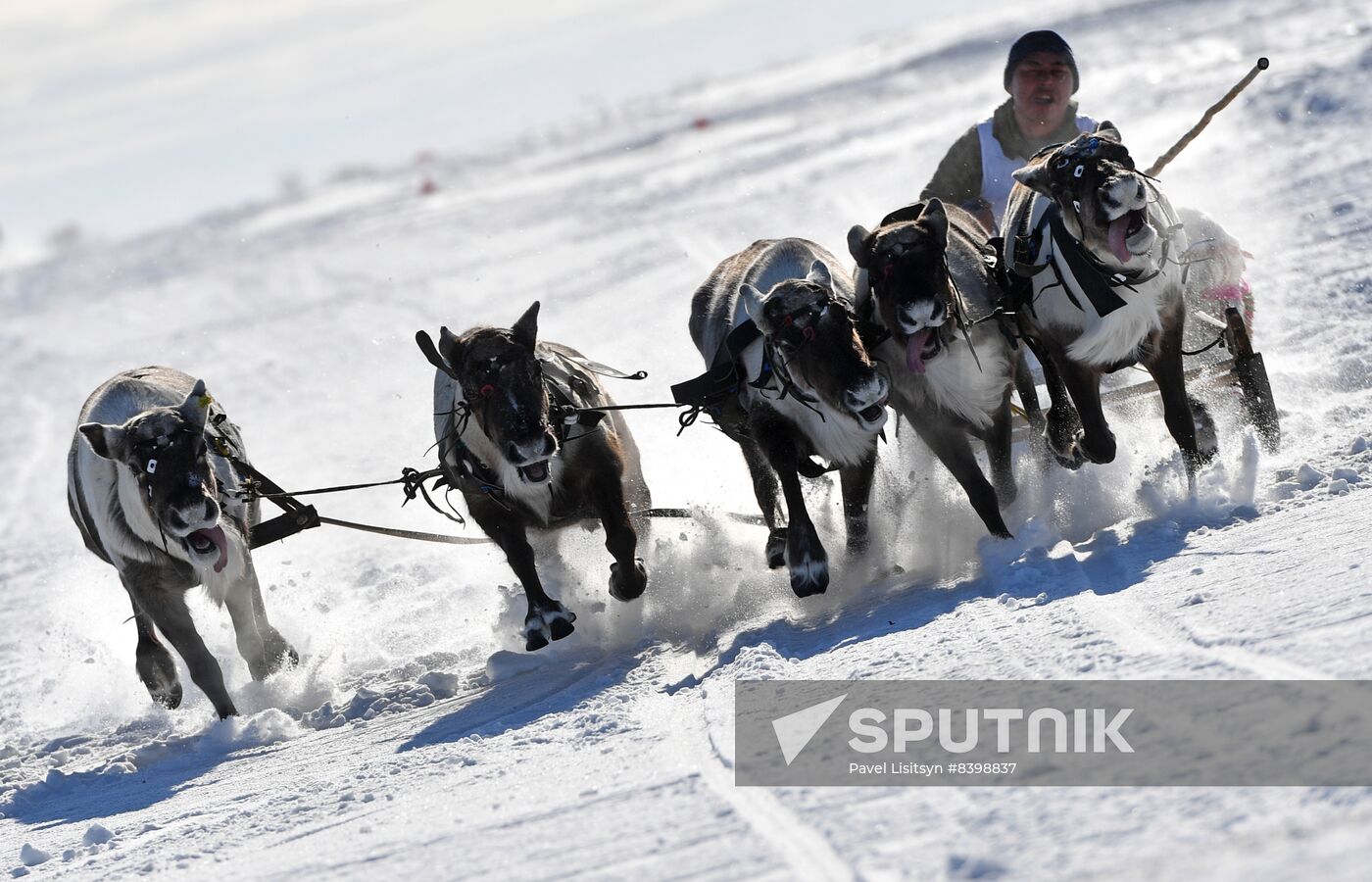 Russia Reindeer Herders' Day