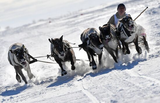 Russia Reindeer Herders' Day