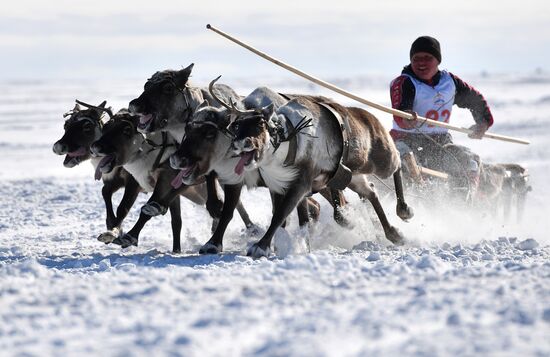 Russia Reindeer Herders' Day