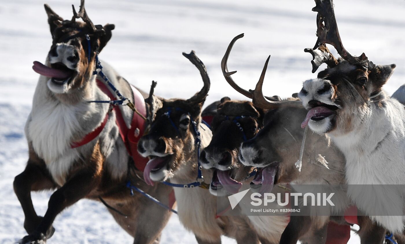 Russia Reindeer Herders' Day