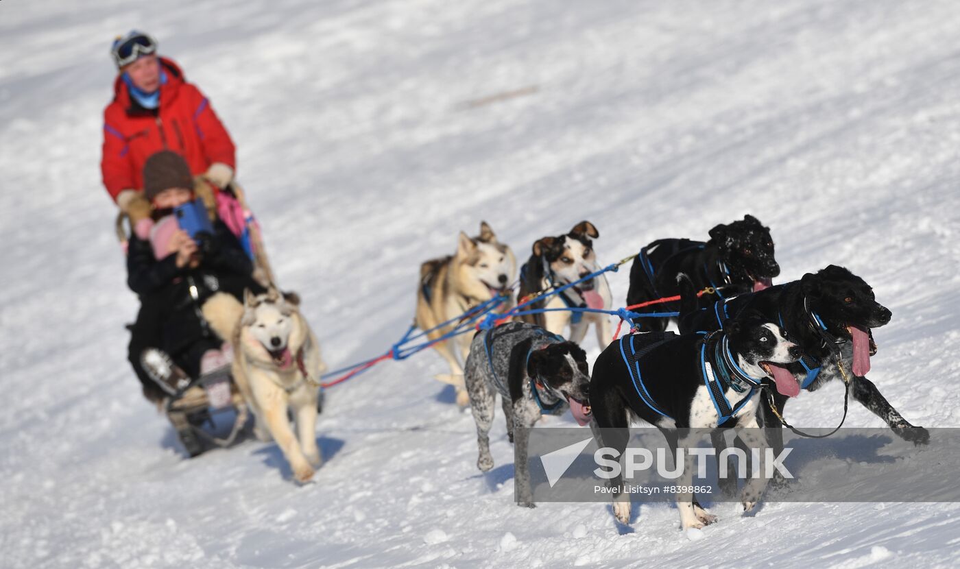 Russia Reindeer Herders' Day