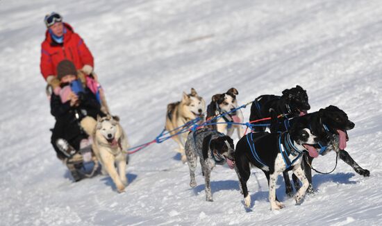 Russia Reindeer Herders' Day