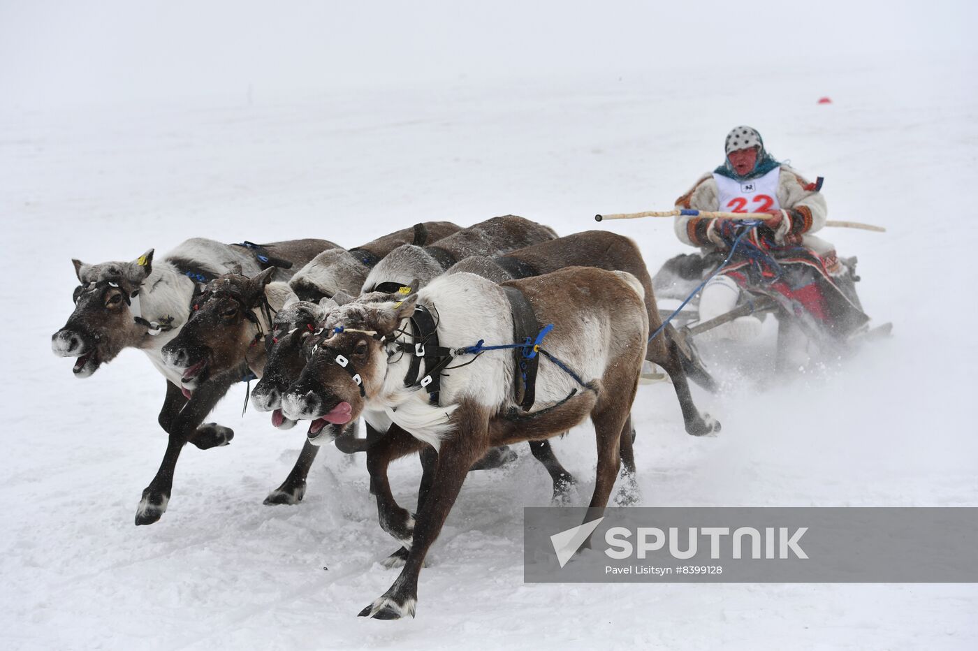 Russia Reindeer Herders' Day