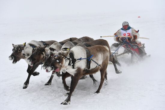 Russia Reindeer Herders' Day