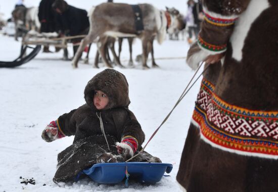 Russia Reindeer Herders' Day