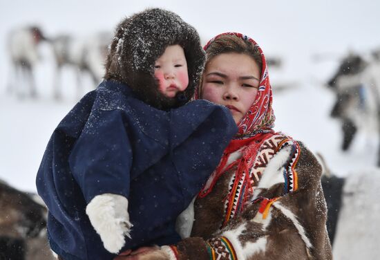 Russia Reindeer Herders' Day