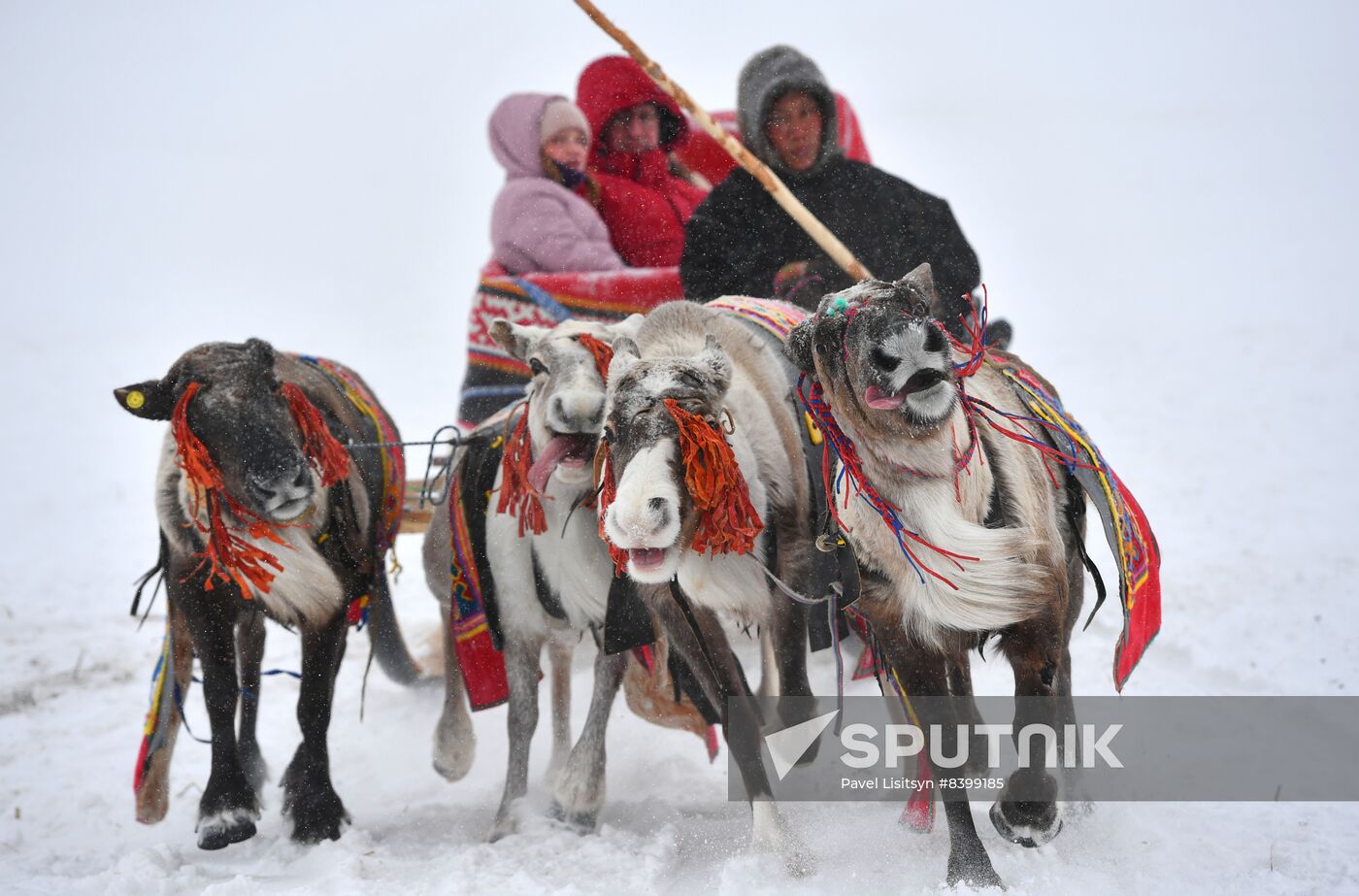 Russia Reindeer Herders' Day