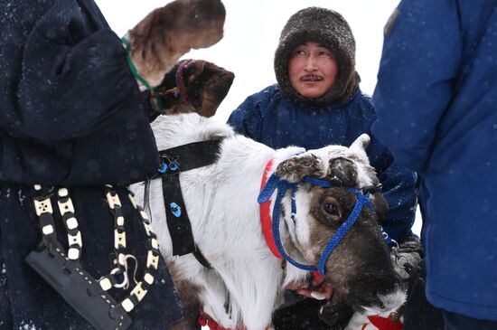 Russia Reindeer Herders' Day