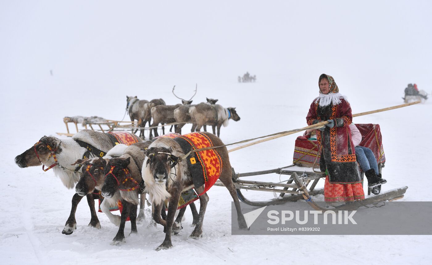 Russia Reindeer Herders' Day