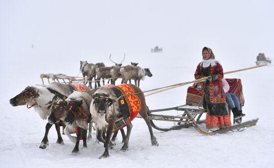 Russia Reindeer Herders' Day