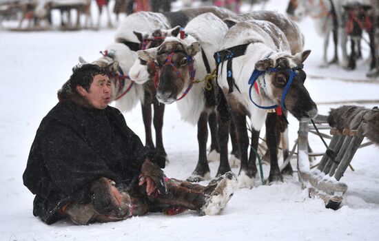 Russia Reindeer Herders' Day