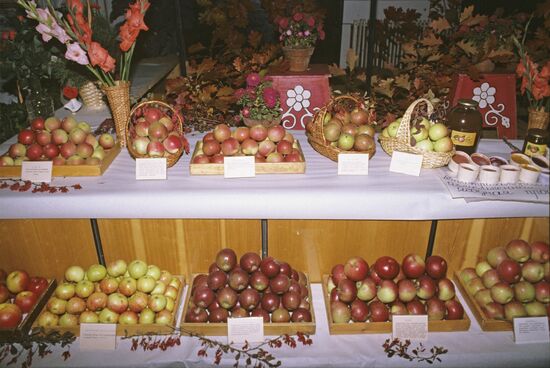 Vladimir Lenin Collective Farm in Moscow Region