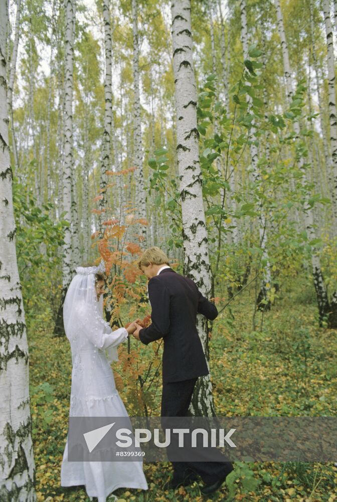 Vladimir Lenin Collective Farm in Moscow Region