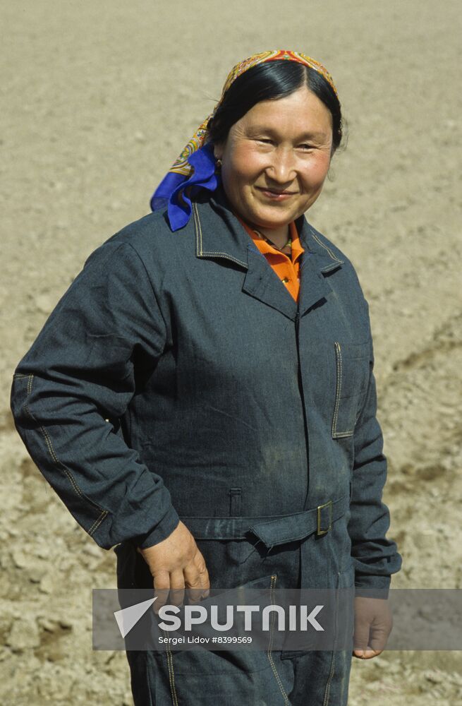 Harvester operator of 40th October Revolution Collective Farm in Uzbekistan