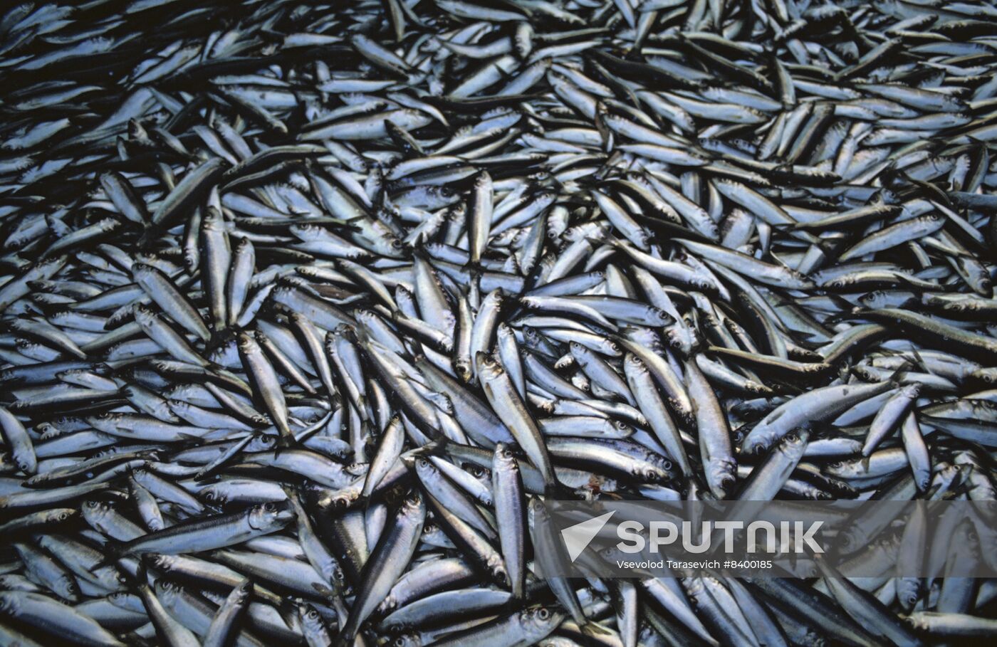 Kirov Fishing Collective Farm in Estonia