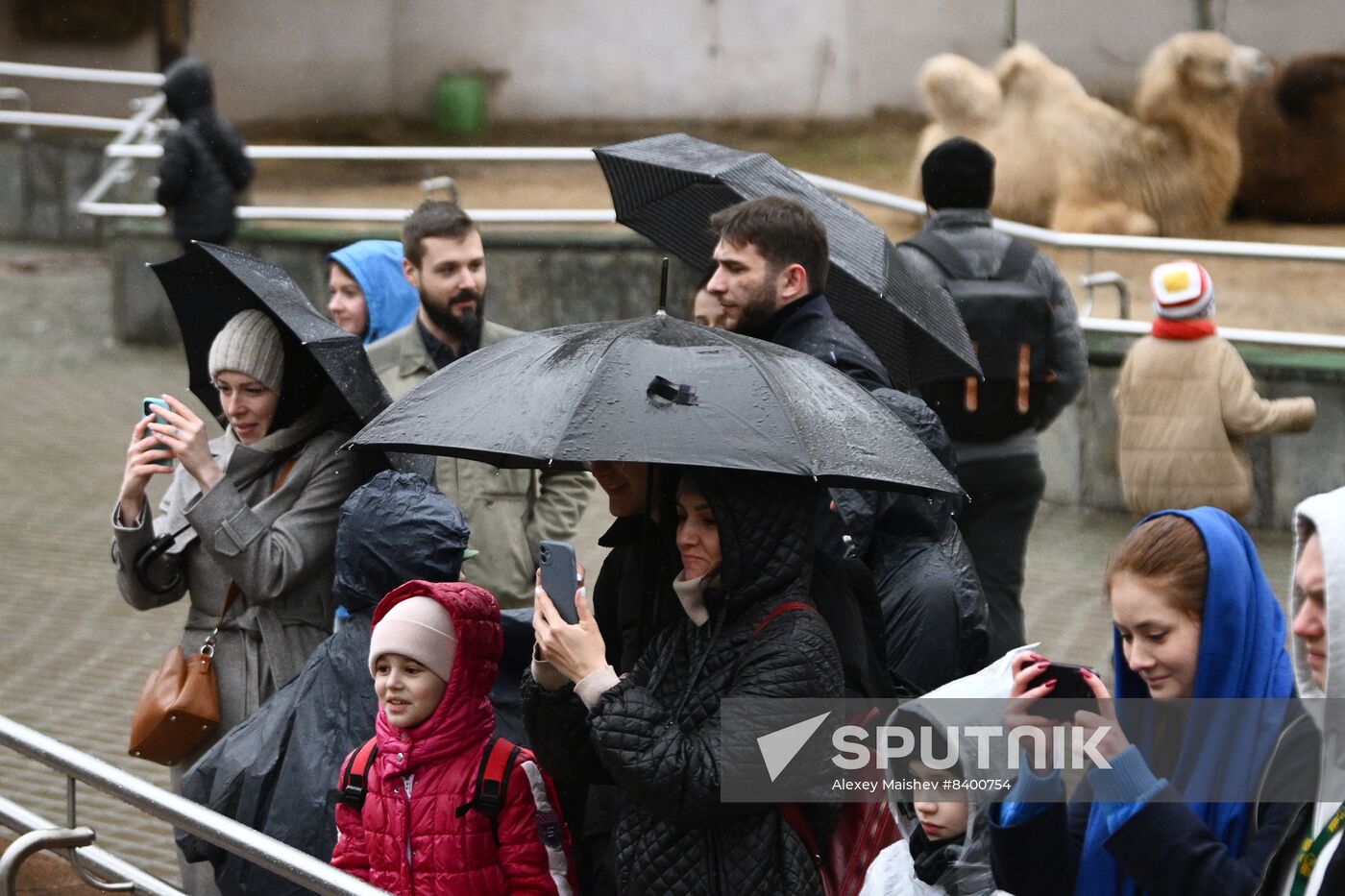 Russia Zoo Bears