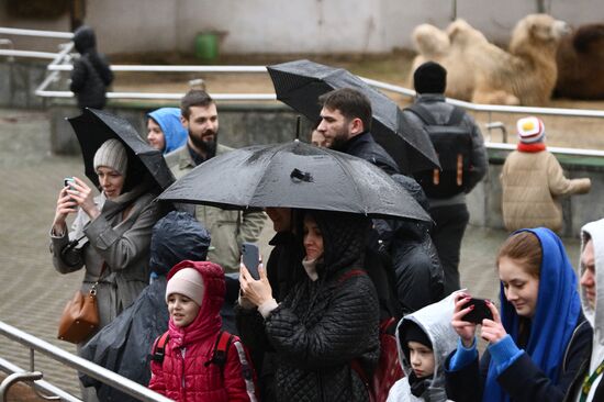 Russia Zoo Bears