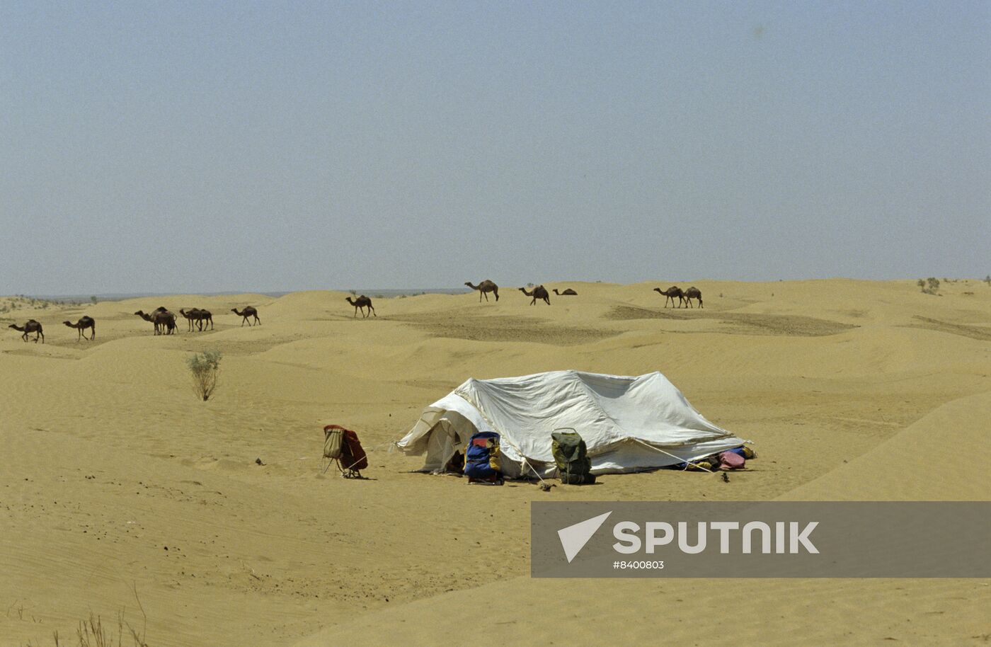Human and Desert scientific and sports expedition