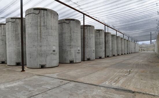 Russia Ukraine Military Operation Nuclear Plant