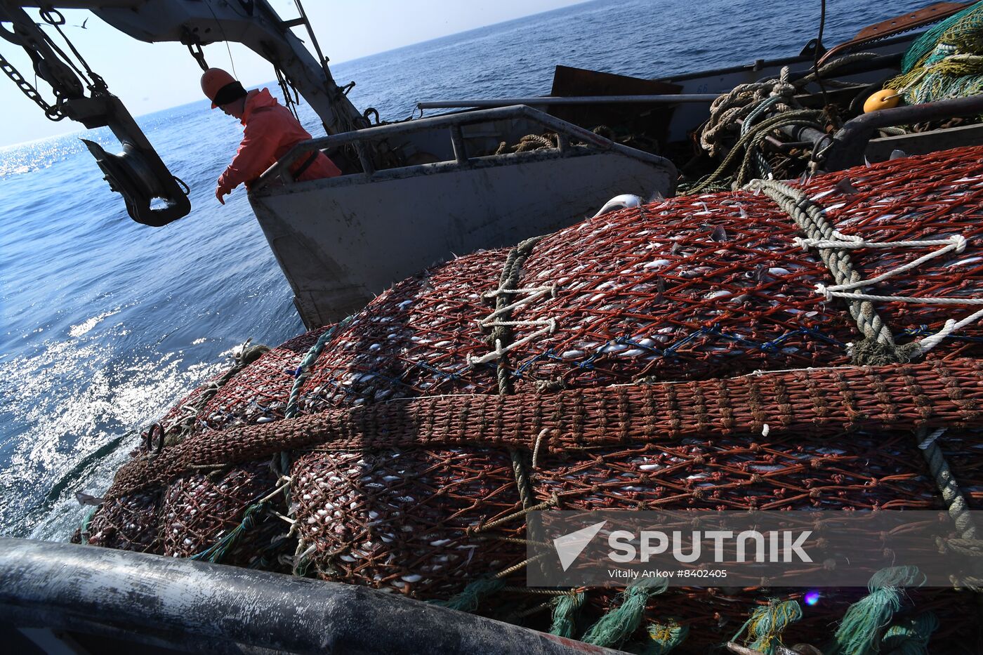 Russia Fish Indusrty