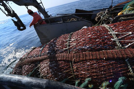 Russia Fish Indusrty
