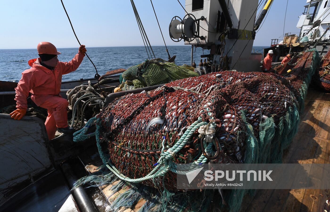 Russia Fish Indusrty