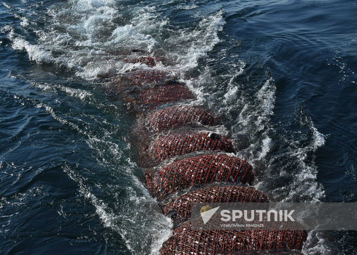 Russia Fish Indusrty