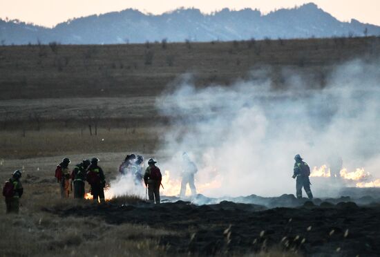 Russia Landscape Fires