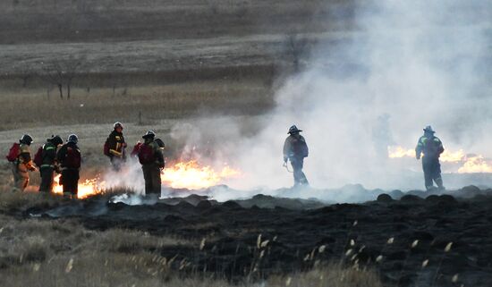 Russia Landscape Fires