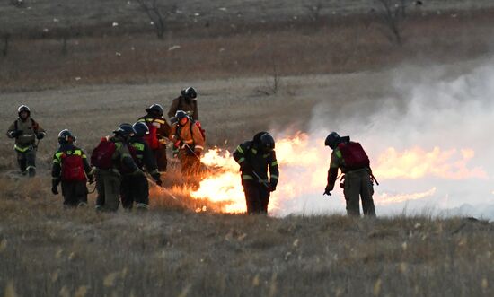 Russia Landscape Fires