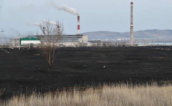 Russia Landscape Fires