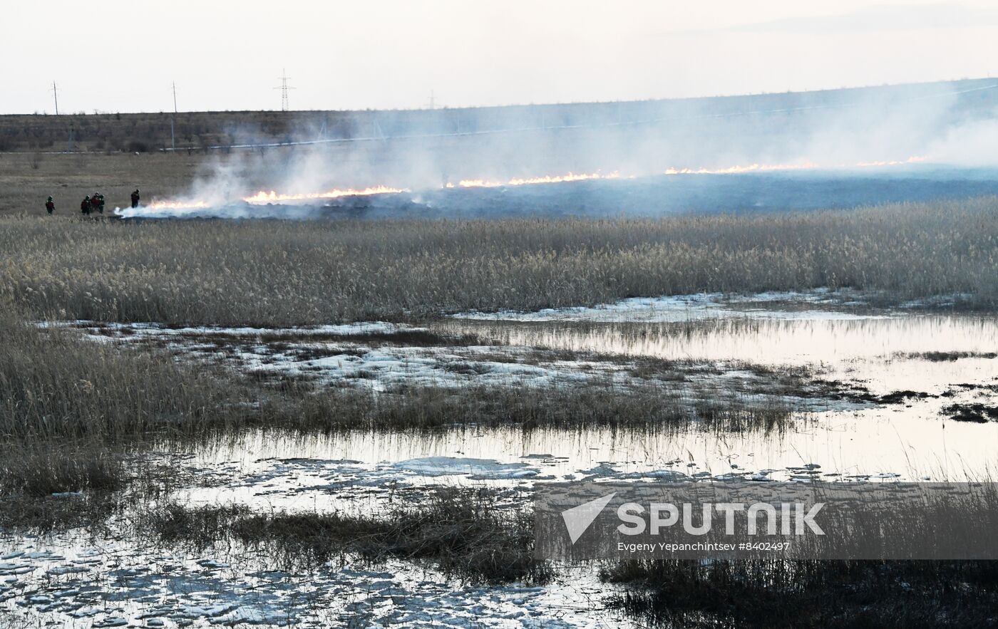 Russia Landscape Fires