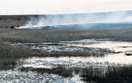 Russia Landscape Fires